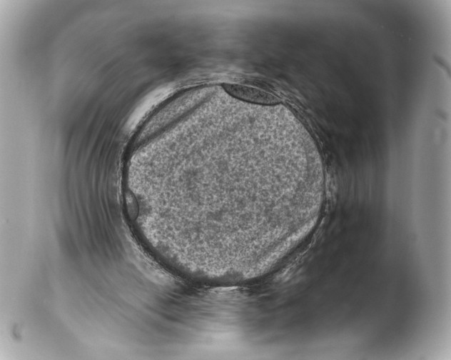 X0000102480054200808291636