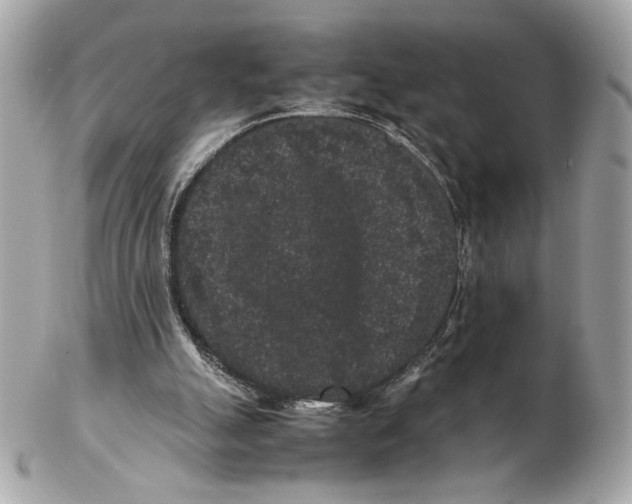 X0000102480055200808291636