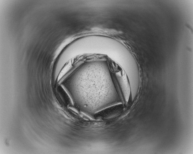 X0000102480056200808291636