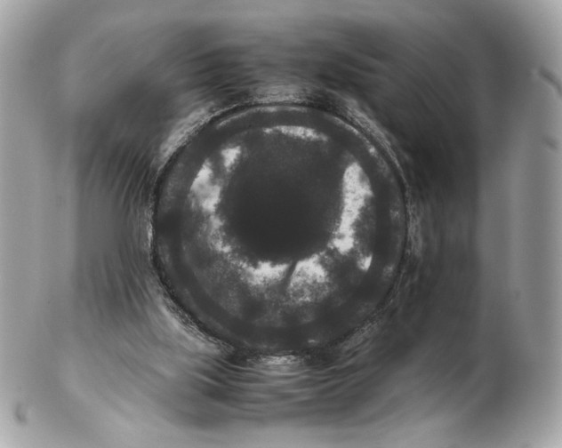 X0000102480059200808291636