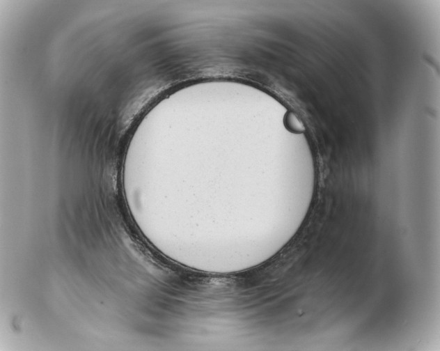 X0000102480060200808291636