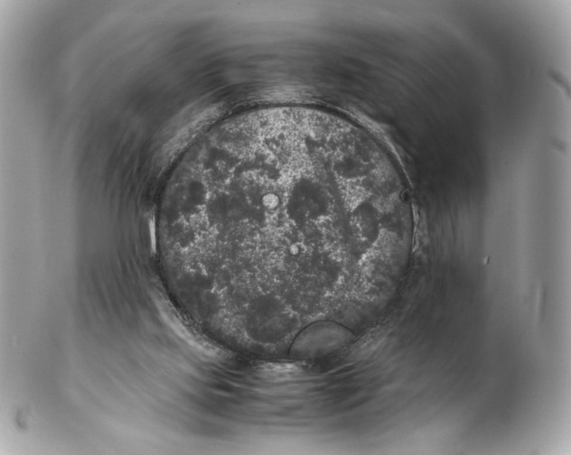 X0000102480061200808291636