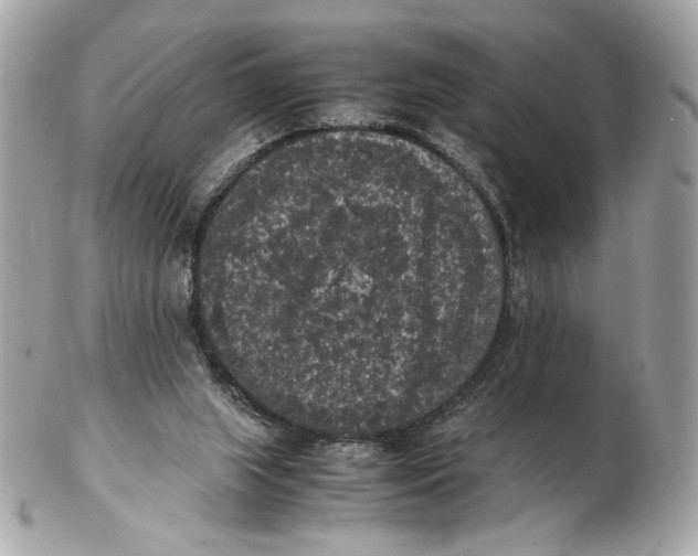 X0000102480063200808291636