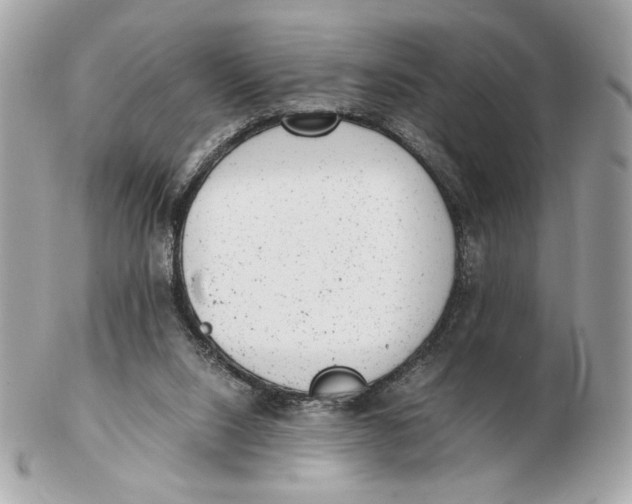 X0000102480064200808291636