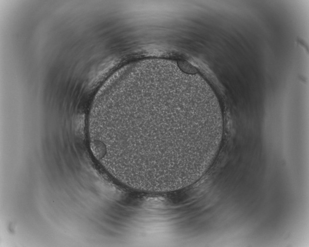 X0000102480066200808291636