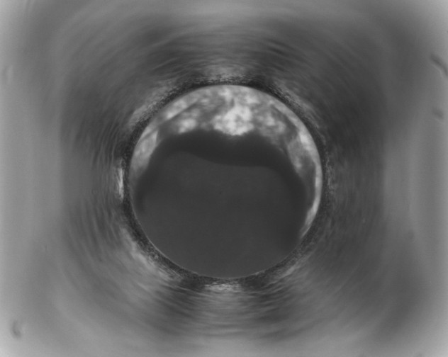 X0000102480067200808291636