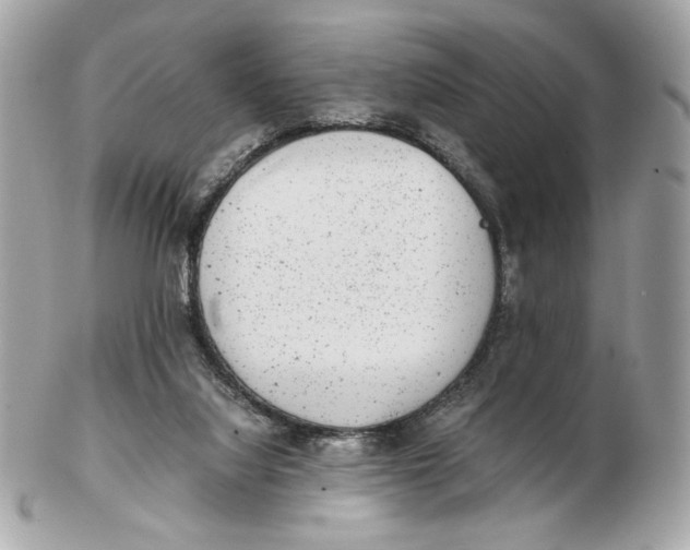 X0000102480068200808291636