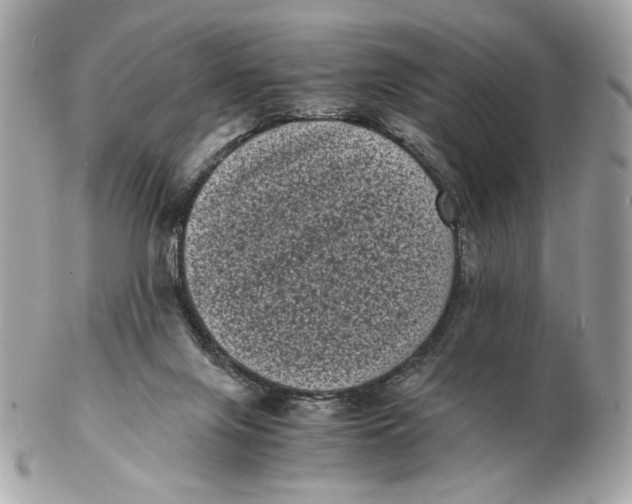 X0000102480071200808291636