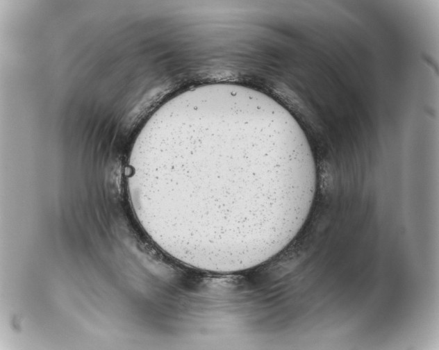 X0000102480072200808291636