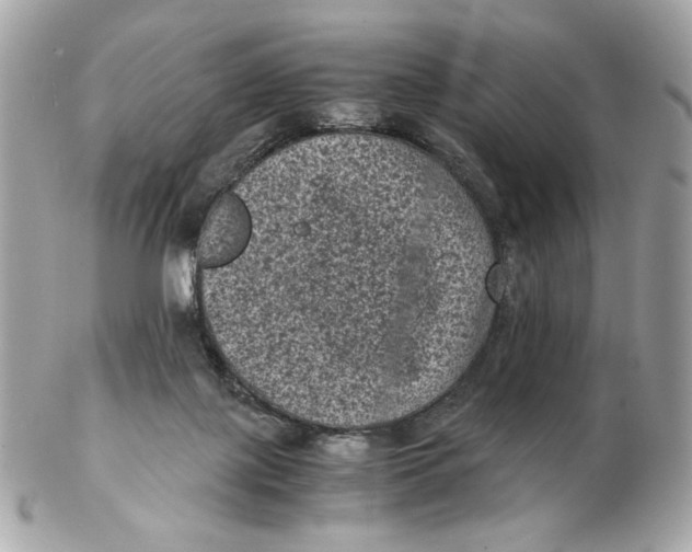 X0000102480075200808291636