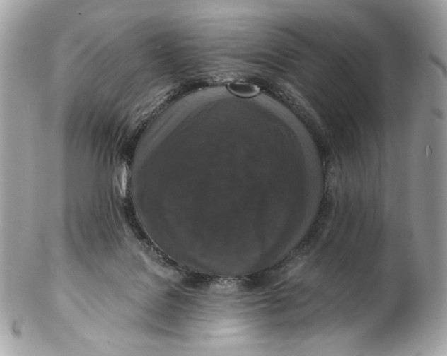 X0000102480076200808291636