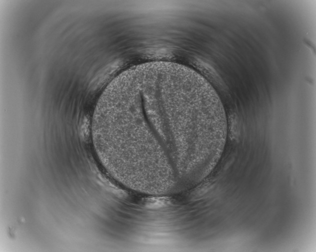 X0000102480077200808291636