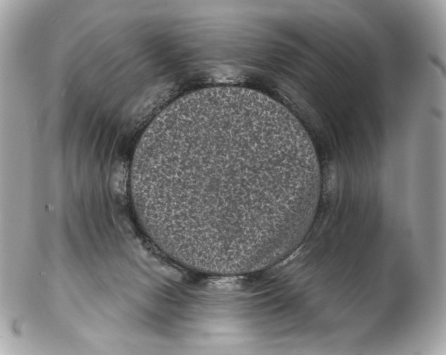 X0000102480078200808291636