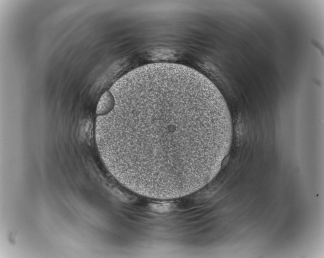 X0000102480079200808291636