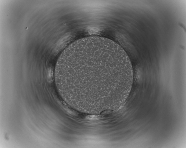 X0000102480082200808291636