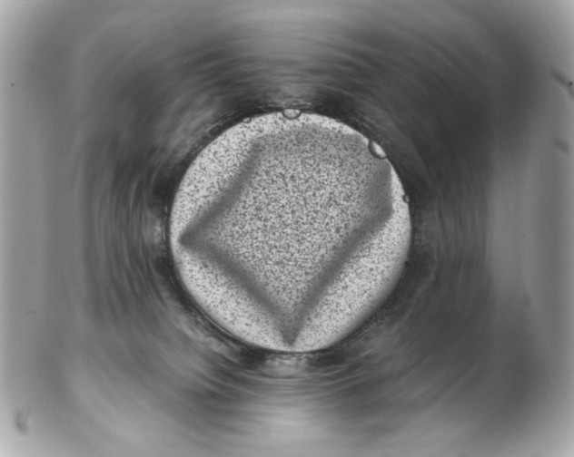 X0000102480084200808291636