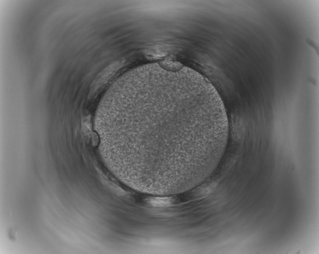 X0000102480085200808291636