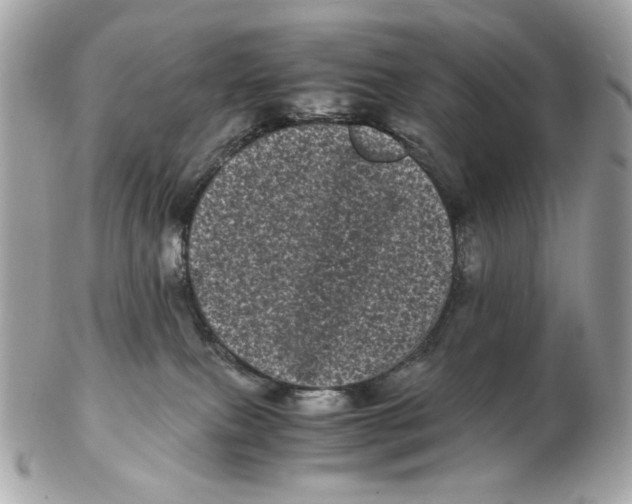 X0000102480087200808291636