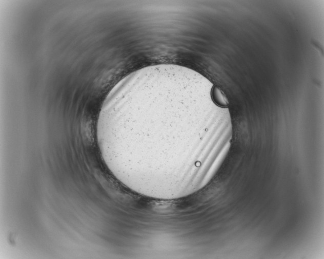 X0000102480088200808291636