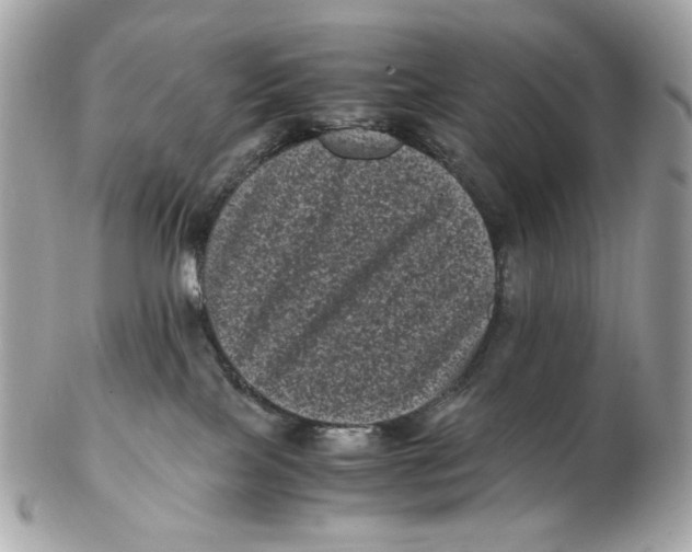 X0000102480089200808291636