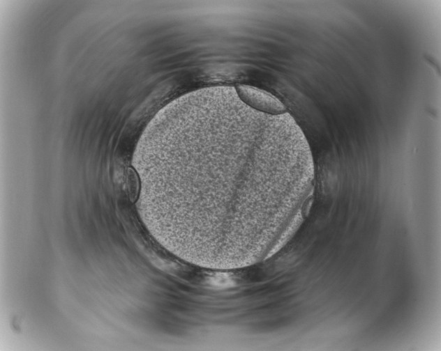 X0000102480091200808291636