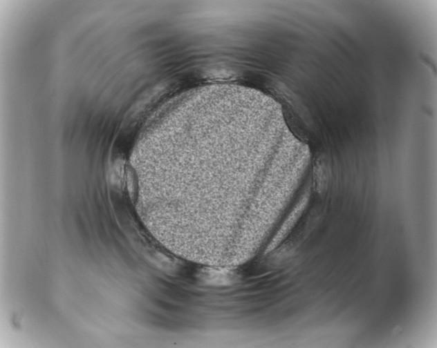 X0000102480093200808291637