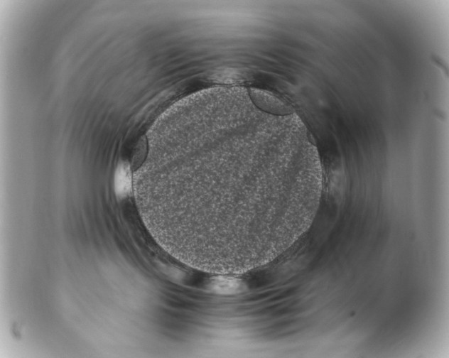 X0000102480095200808291637