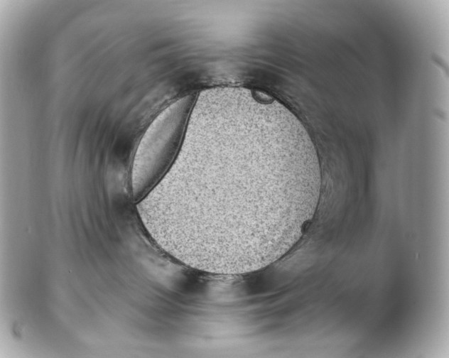 X0000102480096200808291637