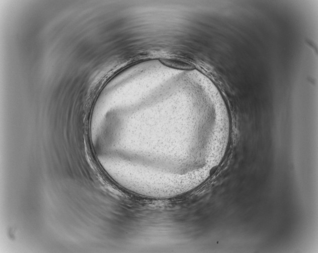 X0000102480097200808291636