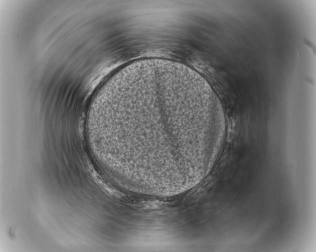 X0000102480098200808291636