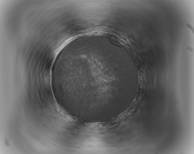 X0000102480100200808291636