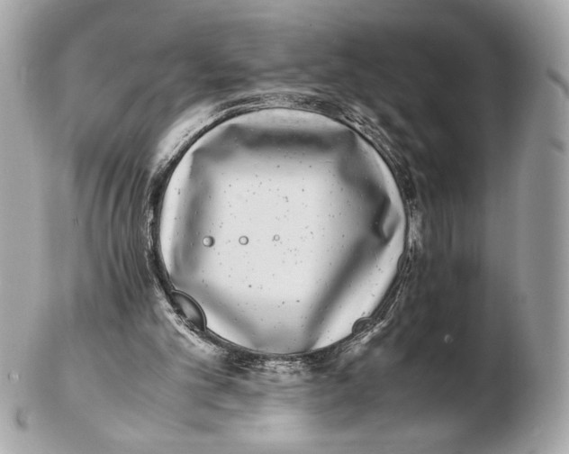 X0000102480101200808291636