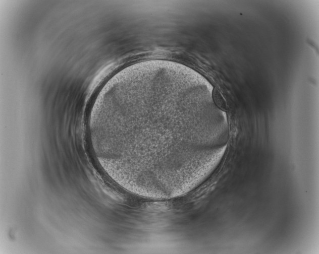 X0000102480102200808291636