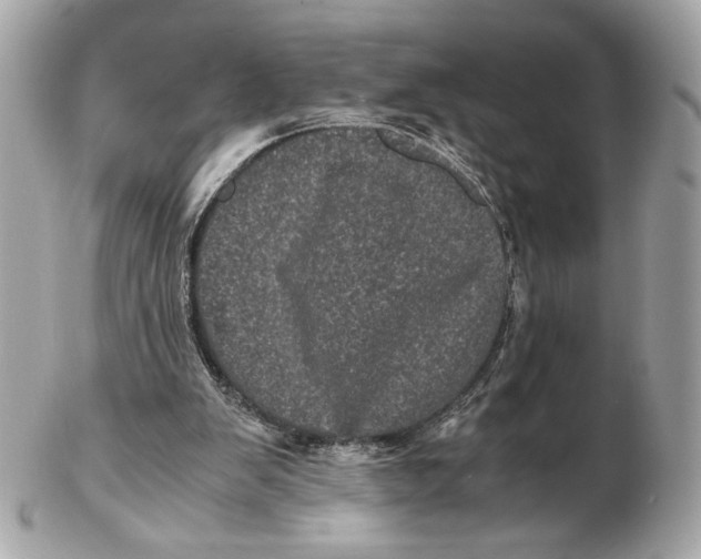 X0000102480103200808291636