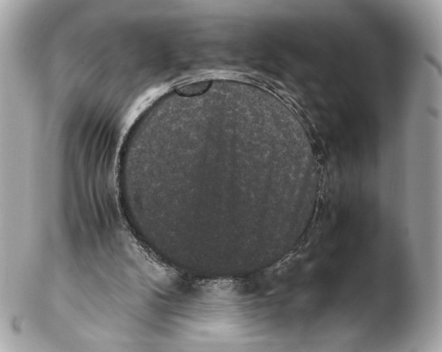 X0000102480104200808291636