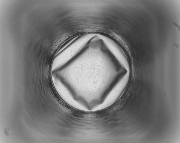 X0000102480105200808291636