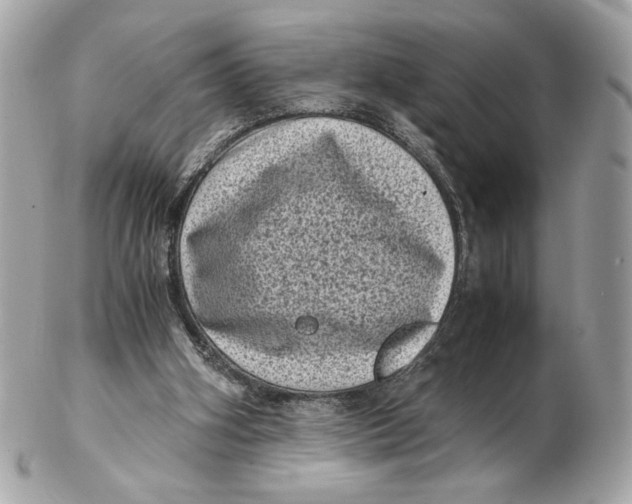 X0000102480106200808291636