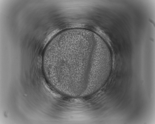 X0000102480107200808291636