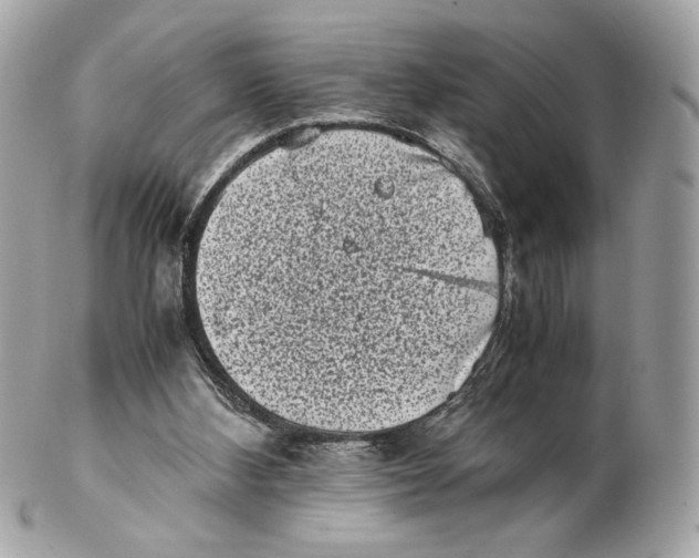 X0000102480108200808291636