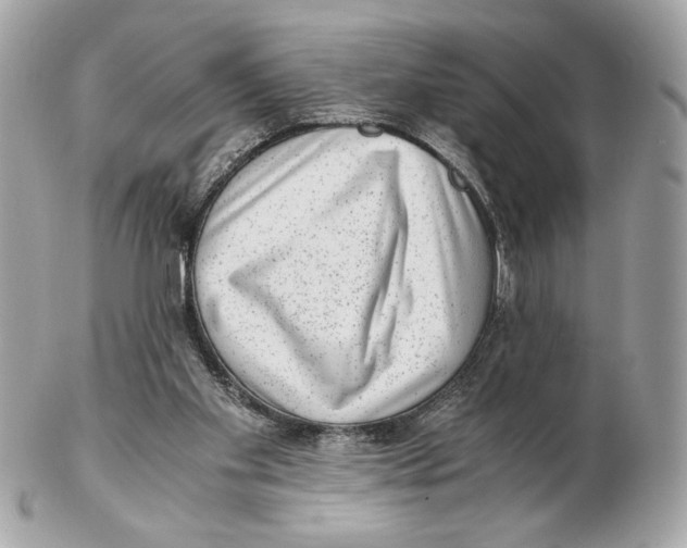 X0000102480109200808291636