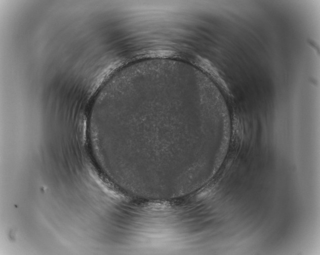 X0000102480110200808291636