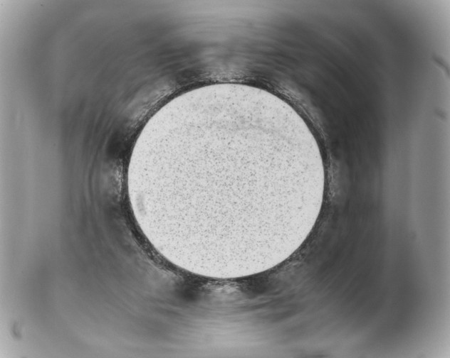 X0000102480113200808291636