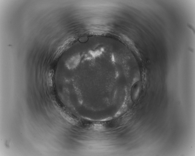 X0000102480114200808291636