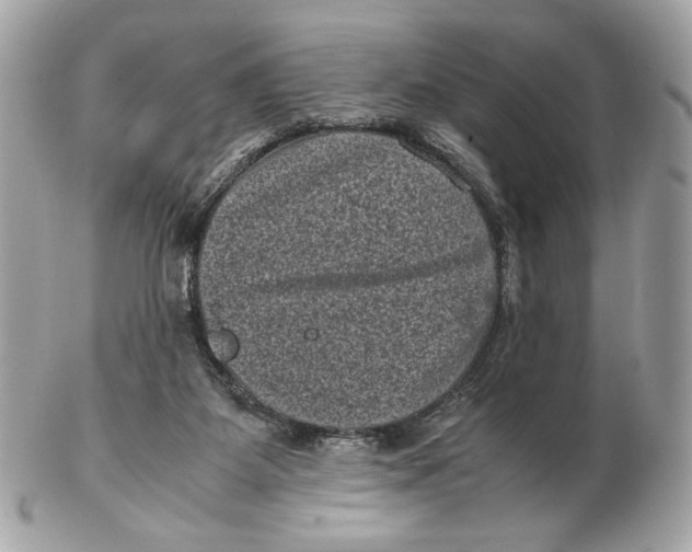 X0000102480115200808291636