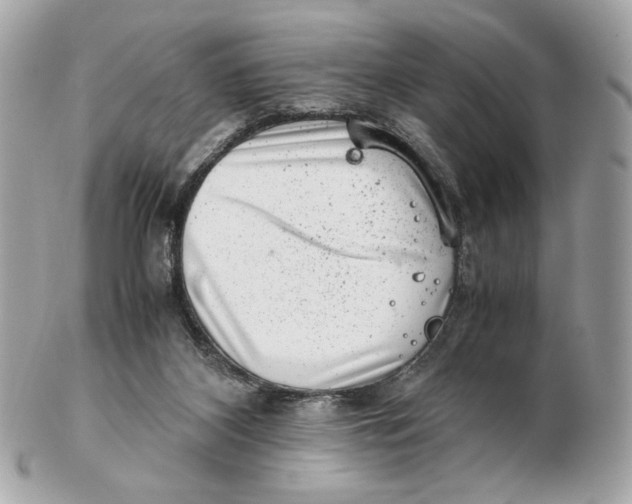 X0000102480116200808291636