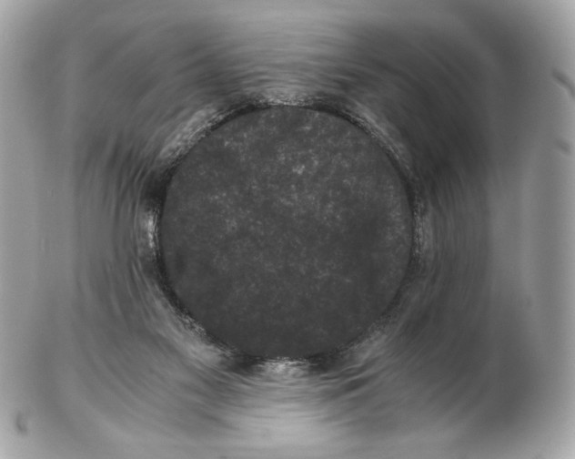 X0000102480117200808291636