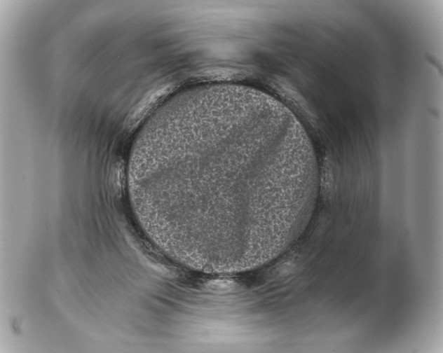 X0000102480119200808291636