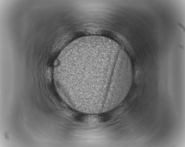 X0000102480121200808291636