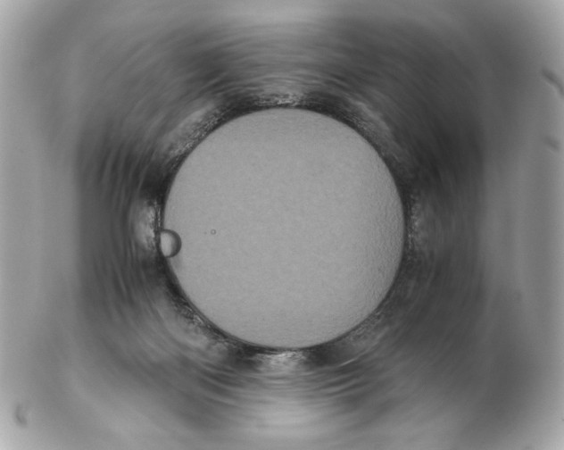 X0000102480122200808291636