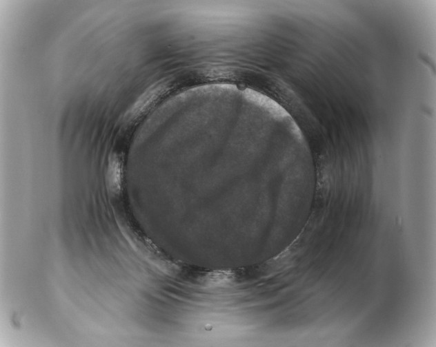 X0000102480124200808291636